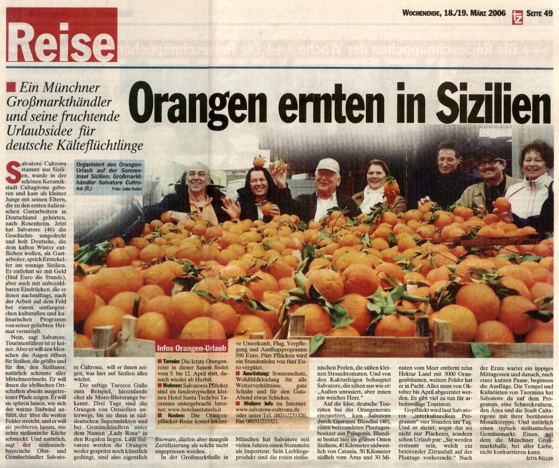 Reisen und arbeiten - Orangen ernten in Sizilien – Reisen heilt!